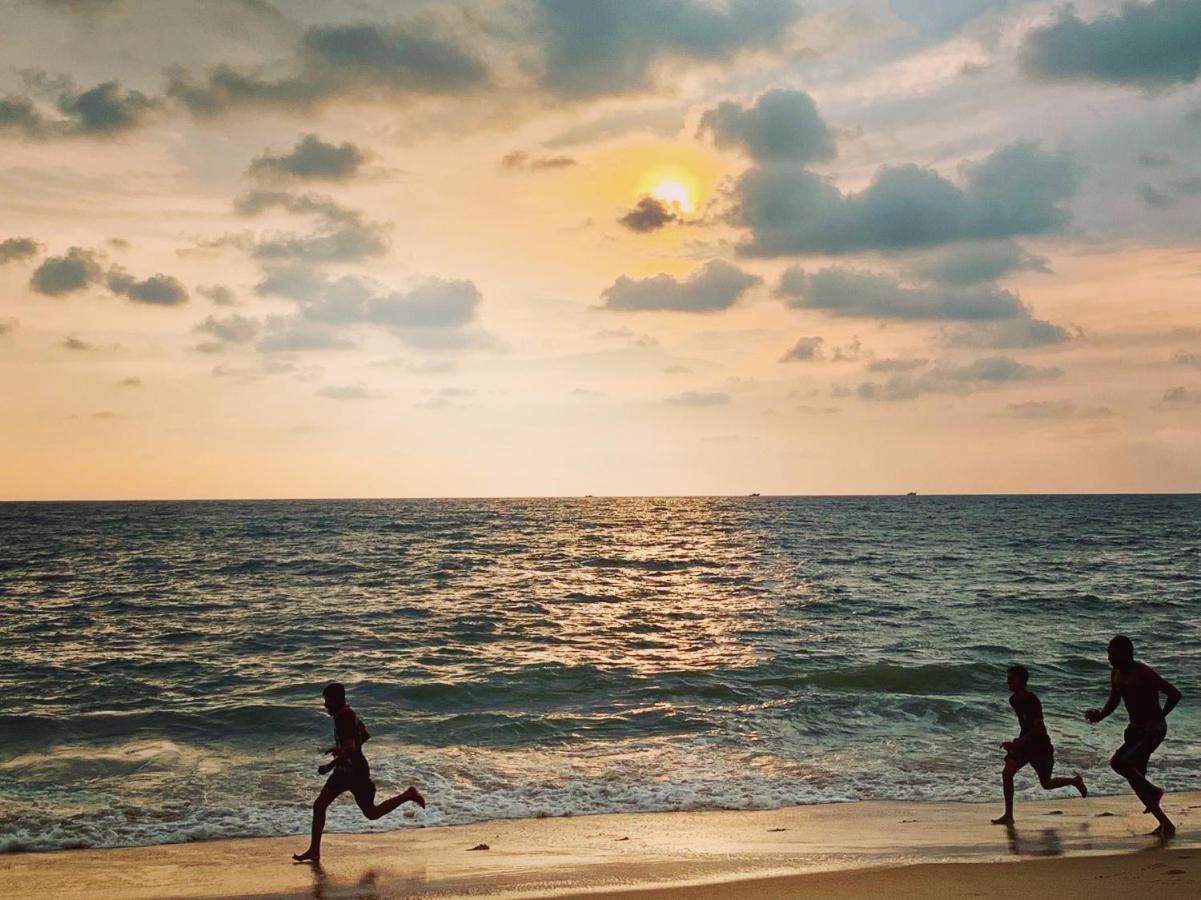 Peacock Villa Marari Beach Mararikulam Zewnętrze zdjęcie
